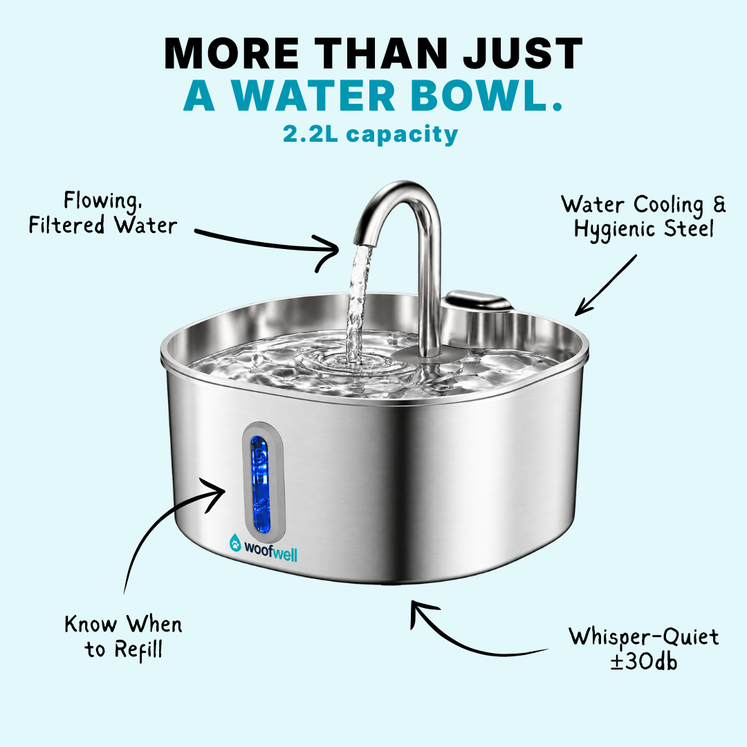 WoofWell Pure Fountain