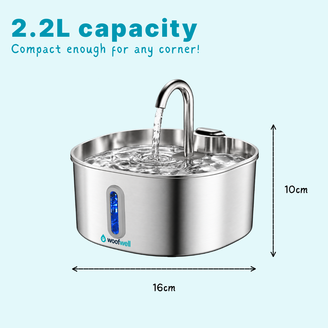 WoofWell Pure Fountain