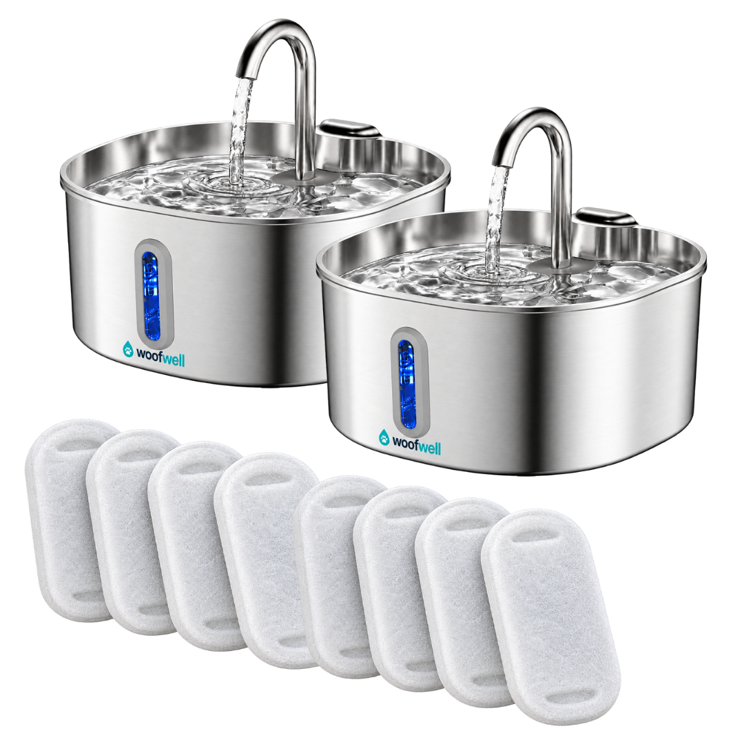 WoofWell Pure Fountain