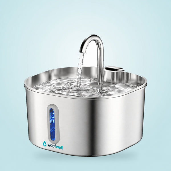 WoofWell Pure Fountain